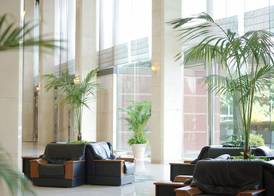 Marroad International Hotel Narita 3