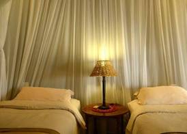 Tingala Lodge - Bed in the Bush 2