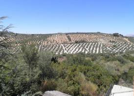 Sierra De Araceli 2