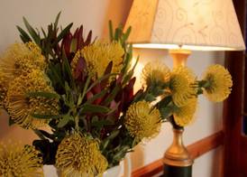 Leeuwenbosch Country House - Amakhala Game Reserve 4