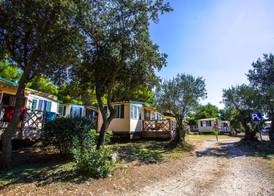 Arena Indije Campsite 2