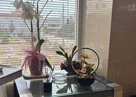 Nikolakakis Rooms Lavrio 3