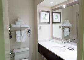Holiday Inn & Suites WINDSOR (AMBASSADOR BRIDGE) by IHG 4