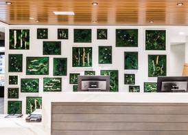 Hotel Indigo ROCHESTER – MAYO CLINIC AREA by IHG 2