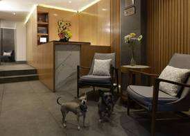 Reforma Guest House 3