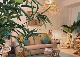 Marsuites 5