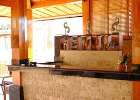 Sari Villa Ubud 5