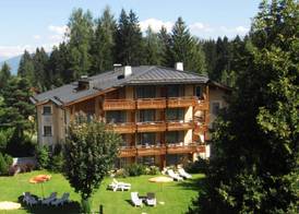 Soldanella by Hotel Adula 4
