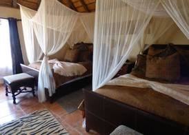 Babson House at Cheetah Conservation Fund 3