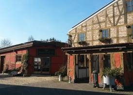 Historische Wassermühle 2