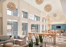 Element by Marriott Orlando at SeaWorld 2