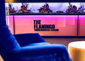 The Flamingo 3