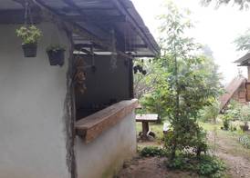 Nusha Homestay 2