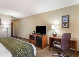 Comfort Inn & Suites - near Robins Air Force Base Main Gate 5