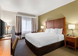 Comfort Inn & Suites Midtown 5