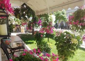 Christina Hotel 5
