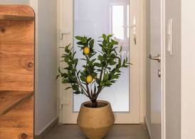 Spianada Studios by Konnect, Old Corfu Town 4