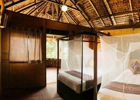 Rimba Resort - Dive Centre & Spa 4