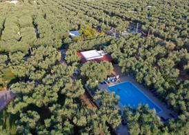 melograno Holiday Home with Swimming Pool and Private Beach 4