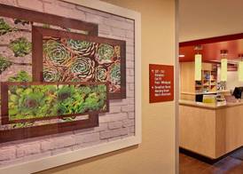 TownePlace Suites by Marriott Albany Downtown/Medical Center 2
