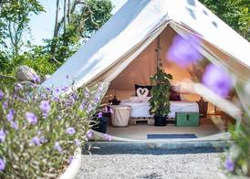 Roost Glamping - SHA Certified 4