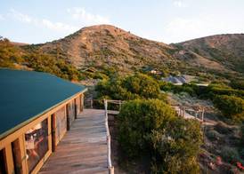 HillsNek Safari Camp – Amakhala Game Reserve 4