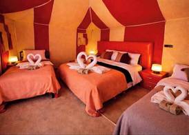 Desert Luxury Camp 5