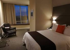 Paseo La Galería Hotel & Suites 5