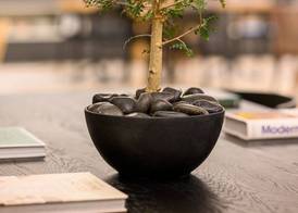 Sadot Hotel Ben Gurion Airport - an Atlas Boutique Hotel 5