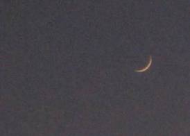 7 Moons B&B 2
