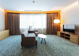 Holiday Inn BAKU by IHG 5