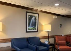 Comfort Inn Franklin Highway 96 5