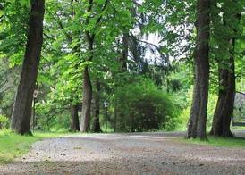 Villa Zollhaus Bed & Breakfast 3