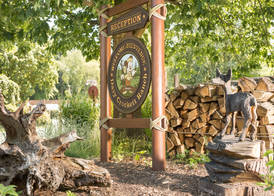 Disney Davy Crockett Ranch + Tickets 2