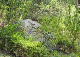 Scenic View Hotel & Resort 4