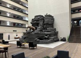 Holiday Inn GREAT FALLS-CONVENTION CENTER by IHG 4