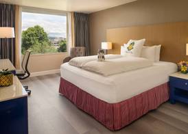 Staypineapple, Hotel Rose, Downtown Portland 5