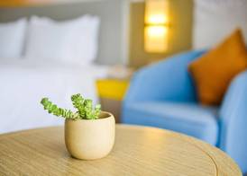 Holiday Inn Express Lhasa Potala Palace by IHG 5