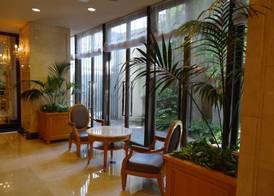 Hotel Patio Dogo 2