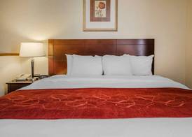 Quality Suites Jeffersonville - Louisville North 5