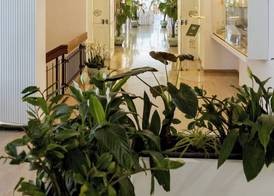 Grand Hotel Cesare Augusto 4
