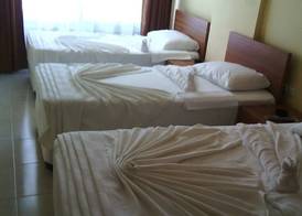 Graywolf Hotel 4