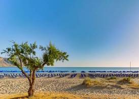 Hôtel Club Framissima Mare Monte 4