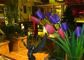 Rimini Club Inn & Suites 2
