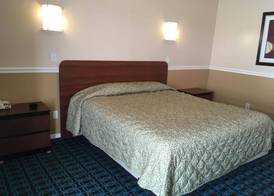 Shirley Motel 5