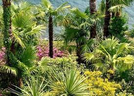 Hotel Garni Rivabella au Lac 5