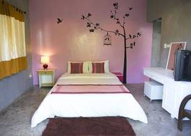 Payi Resort 4