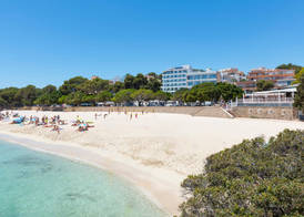 Hotel Palia Tropico Playa 3