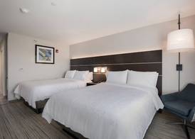 Holiday Inn Express & Suites CHICAGO - HOFFMAN ESTATES by IHG 3