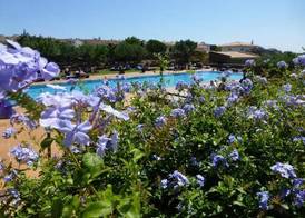 Hotel Sol Ixent - Adults Only 5